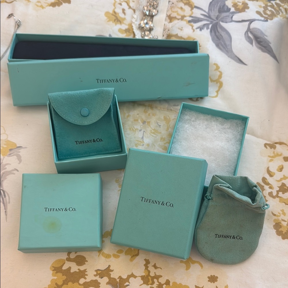 Tiffany & Co. Turquoise Box and Pouch Collection